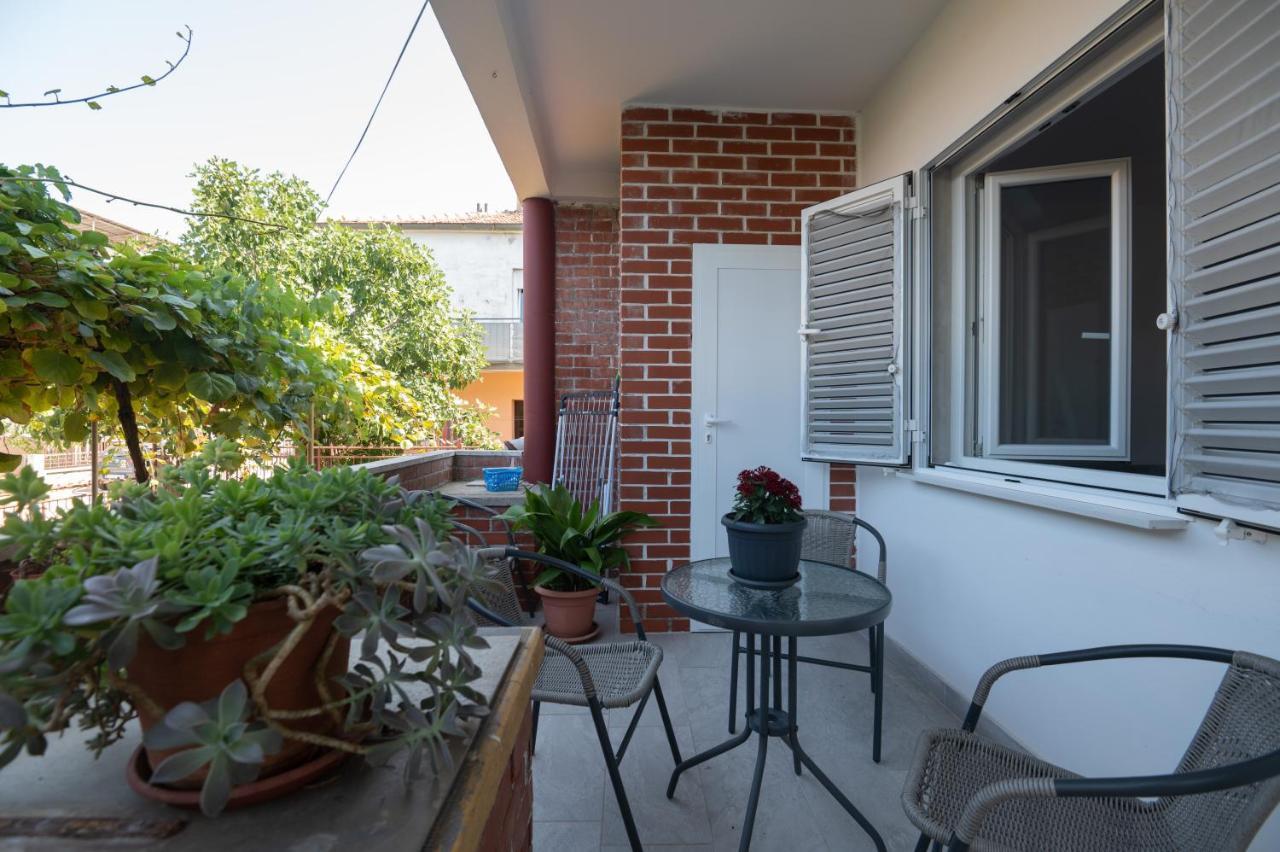 Modern Apartment Edda - Quiet Area - Close To Old Town And Beaches Zadar Buitenkant foto